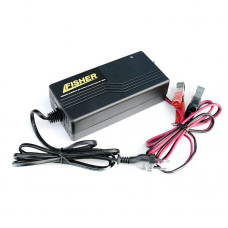 Импульсное зарядное устройство для гелевых аккумуляторов 90-100AH