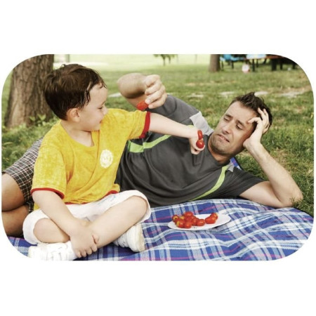Коврик для пикника KingCamp Picnik Blanket (KG8001) (red)