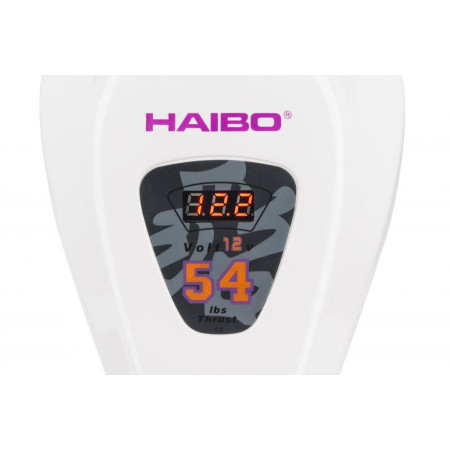 Лодочный  электромотор Haibo  D54 соленая вода