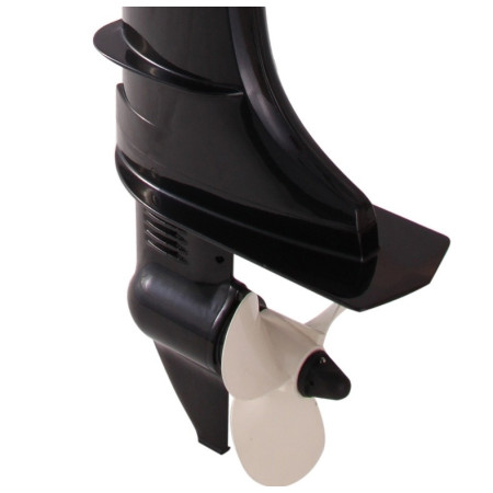 Лодочный мотор Parsun F5BMS    (5 л.с., короткий дейдвуд, четырехтактный)