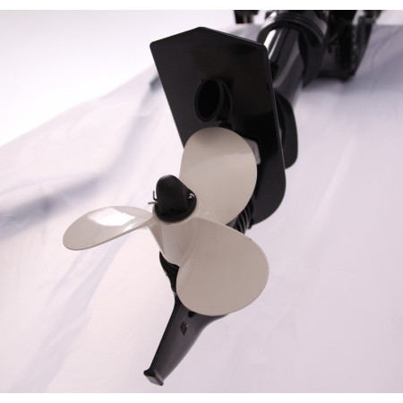 Лодочный мотор Parsun F6ABMS (6 л.с., короткий дейдвуд, винт 9``цифровое зажигание, четырехтактный) DC