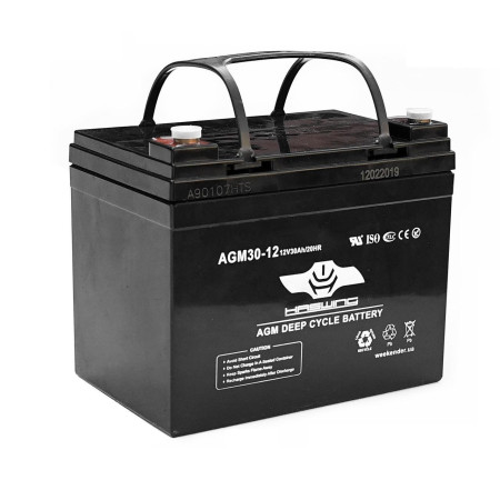 Лодочный электромотор для троллинга  Haswing Osapian 30Lbs черный 12В + agm Haswing 30Ah