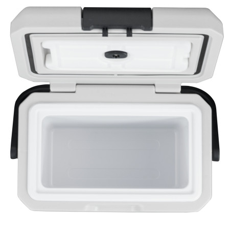 Компрессорный автохолодильник Alpicool P8 (8 литров). Охлаждение до -15 ℃, питание 12, 24, 220 вольт