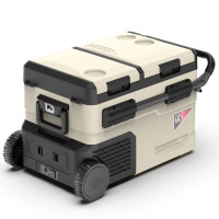 Компрессорный автохолодильник Alpicool TGBSW35 (LG). 38 литров. Двухкамерный. До -20℃. (12, 24, 220 вольт)