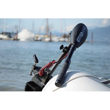 Лодочный электромотор для троллинга  Haswing Osapian 55Lbs черный 12В   